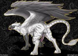 Gryphon bad dragon