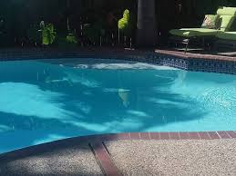 Lawn Worker Falls Into Pool Drowns
