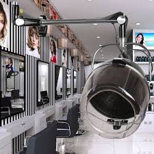 Hair Hood Dryer Beauty Salon Equipment