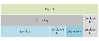 Remuneration of disabled employees (double deduction). Payroll Accounting Process Double Entry Bookkeeping