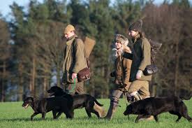 Being a former victorian hunting lodge, built in 1746, gairnshiel lodge has been a longtime favorite of royals, hunters and travelers alike. Simulated Game Staffordshire Sporting Estate Holiday Let Bagots Park