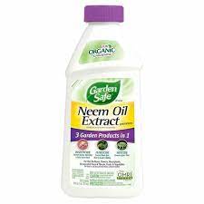 20 Organic Neem Oil Uses For Garden
