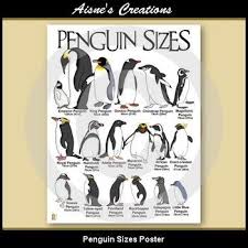 Penguin Sizes Poster Chart First Grade Science Science