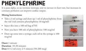 Push Dose Phenylephrine And Epi From Emcrit Org Nurse