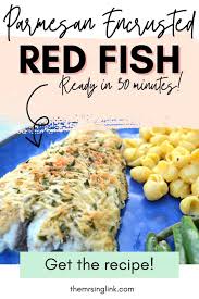 baked parmesan encrusted red fish