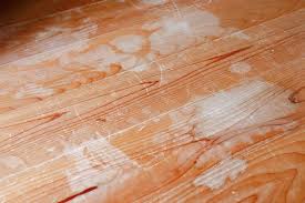 learn how to remove paint stains