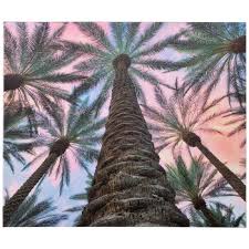 Palm Tree Sunset Canvas Wall Decor