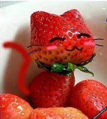 Chat en fraises