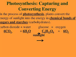 Capturing And Converting Energy