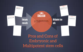 Pros And Cons Of Embryonic And Multipotent Stem Cells By