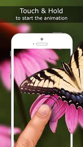 live wallpapers for iphone 6s 6s plus