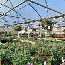 7 great garden centres to visit in
