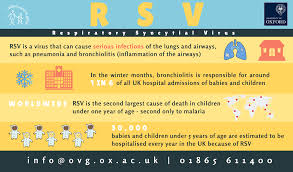 Respiratory Syncytial Virus Rsv Vaccine Knowledge