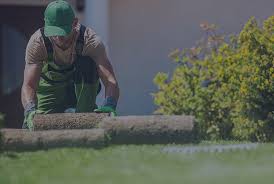 A Lawn Care Business In Florida