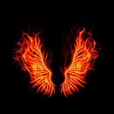 fire wings vector art icons and
