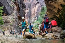 The wide array of trails vary in difficulty levels as well as scenic views. Zion National Park Considers Reservation System For Entry Las Vegas Review Journal