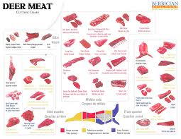 Venison Butcher Chart Venison Chicken And Other Animal