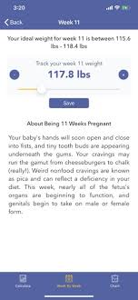 Pregnancy Bmi Weight Tracker On The