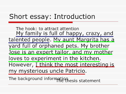 Culture and society essay Document image preview