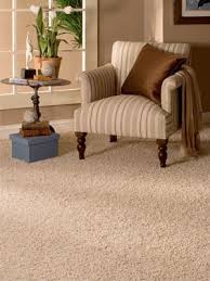 boise best carpet cleaning great