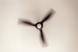 which way should a ceiling fan spin in