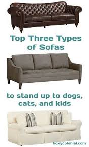 best couch for kids and dogs