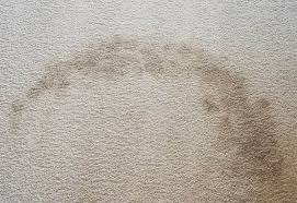 how to get blood out of carpet easy