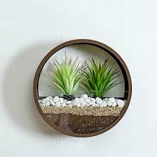 round indoor wall succulent holder