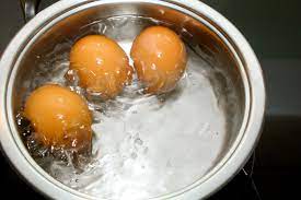 Tupperware eierbox eier kühlschrank box aufbewahrung dose ei. Eier Kochen Anleitungen Tipps Frag Mutti