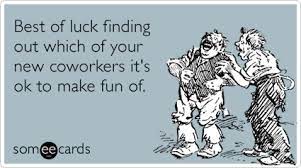 If it is a coworker or colleague, you should always. Best Of Luck Finding Out Which Of Your New Coworkers It S Ok To Make Fun Of Job Quotes Funny Coworker Quotes Ecards Funny