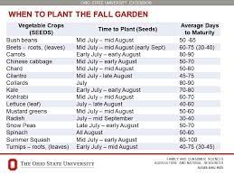 Planting A Fall Vegetable Garden