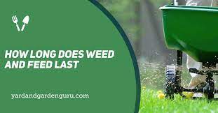 how long does weed and feed last