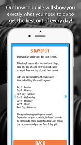 muscle building workout program 5 day