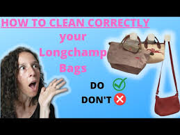 longch bags