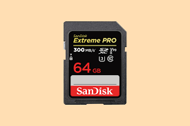 best sd card for cameras in 2024