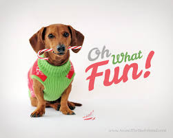 Tons of awesome valentine's week 2021 wallpapers to download for free. Dachshund Christmas Wallpaper For Desktop Wallpapersafari Wallpaper Iphone Christmas Dachshund Christmas Christmas Wallpaper