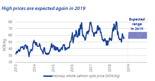 Salmon And Shrimp Supply And Price Predictions For 2019
