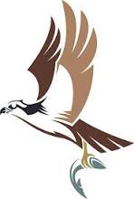 Stylized Bird Stock Illustration - Download Image Now - Osprey, Bird,  Illustration