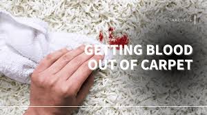 getting blood out of carpet best home