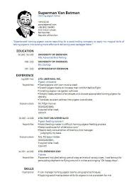 Resume CV Cover Letter  sample of simple resume sample of simple     Plgsa org