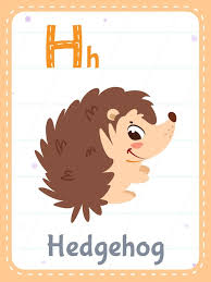 letter h and hedgehog