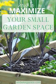 Small Garden Space