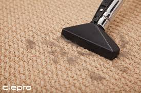 can you vacuum every day and ruin carpet