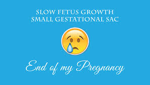 Slow Fetus Growth Small Gestational Sac End Of My Pregnancy