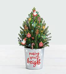 We did not find results for: Flowers Online Ftd Com Send Flowers Plants Gifts Same Day Flower Delivery Christmas Plants Gifts Christmas Plants Miniature Christmas Trees