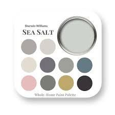 Sea Salt By Sherwin Williams Interior