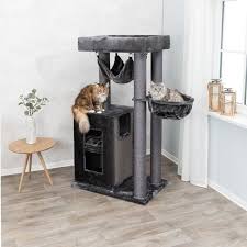 These gentle giants possess really huge size compared to common cat's standard. Trixie Cat Tree Maine Coon Xxl Amadeus Petsgifts