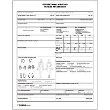 Patient Assessment Chart See693 Shop First Aid Guide Tenaquip