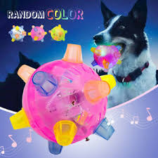 Flashing Pet Dog Ball For Games Light Up Led Play Jumping Joggle Crazy Chew Toys Ebay