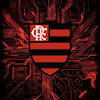 Team profile page of cr flamengo basquete with squad, recent matches, team details and more. 1